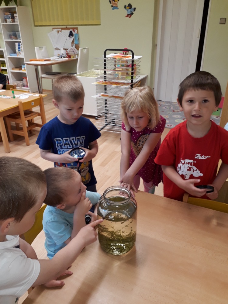 Děti pozorují ve sklenici pulce a larvy komárů